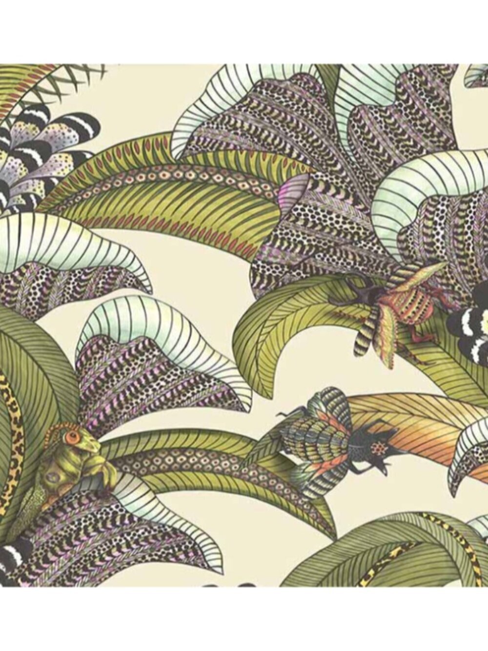 Cole and Son Hoopoe Leaves Pattern No. 119/1001 Batch No. A007 10.05m x 52 cm